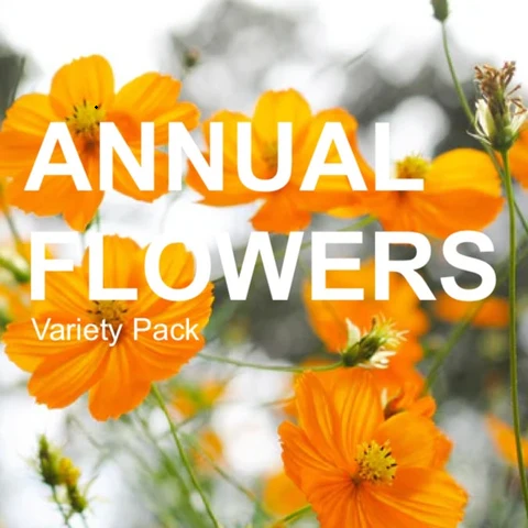 annual flower garden variety pack seeds